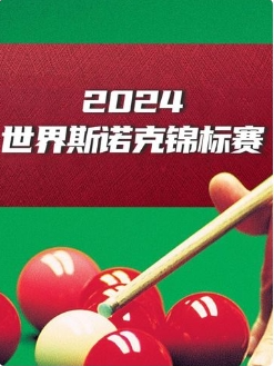 斯诺克国锦赛徐思6-9丁俊晖20241110